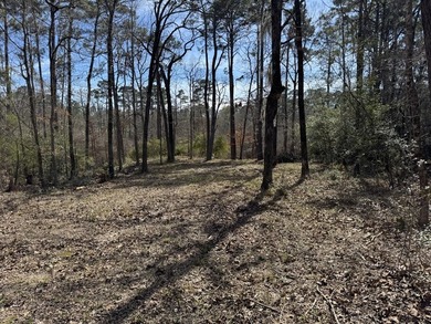 PRICE IMPROVEMENT!!! Beautiful buildable property in the desired - photo 2