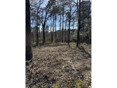 PRICE IMPROVEMENT!!! Beautiful buildable property in the desired - photo 4