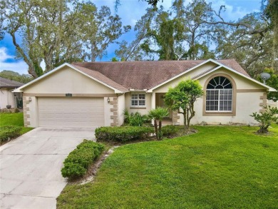 (private lake, pond, creek) Home For Sale in Port Richey Florida