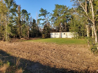 Lake Home Off Market in Donalsonville, Georgia