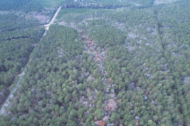 5.49 acres located on Pennyroyal Road in Georgetown, SC. Located - photo 11