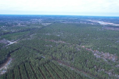 5.49 acres located on Pennyroyal Road in Georgetown, SC. Located - photo 12