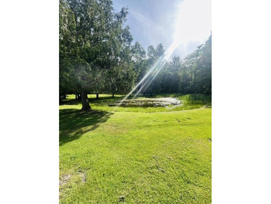 20 Acres-Evart Schools-3 Bedroom one bath remodeled 1900 range - photo 12