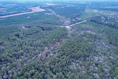 5.49 acres located on Pennyroyal Road in Georgetown, SC. Located - photo 13