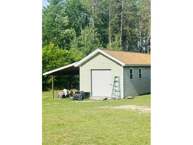 20 Acres-Evart Schools-3 Bedroom one bath remodeled 1900 range - photo 13