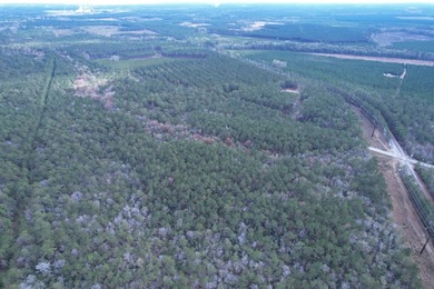5.49 acres located on Pennyroyal Road in Georgetown, SC. Located - photo 14