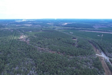 5.49 acres located on Pennyroyal Road in Georgetown, SC. Located - photo 15