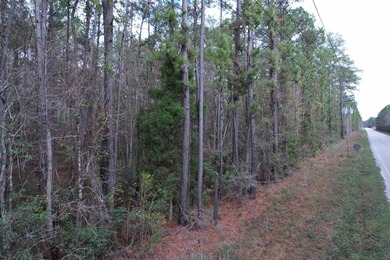 5.49 acres located on Pennyroyal Road in Georgetown, SC. Located - photo 18