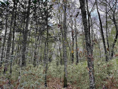 5.49 acres located on Pennyroyal Road in Georgetown, SC. Located - photo 19
