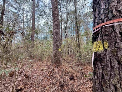5.49 acres located on Pennyroyal Road in Georgetown, SC. Located - photo 20
