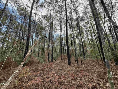 5.49 acres located on Pennyroyal Road in Georgetown, SC. Located - photo 21