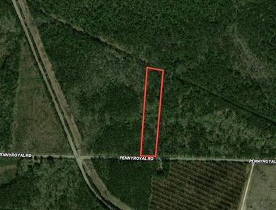 5.49 acres located on Pennyroyal Road in Georgetown, SC. Located - photo 23