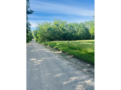 20 Acres-Evart Schools-3 Bedroom one bath remodeled 1900 range - photo 30