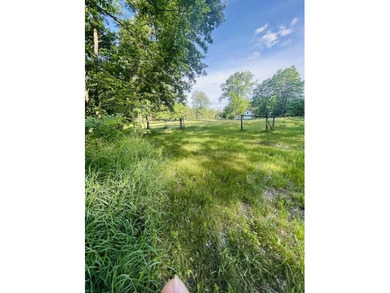 20 Acres-Evart Schools-3 Bedroom one bath remodeled 1900 range - photo 31