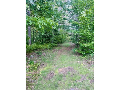 20 Acres-Evart Schools-3 Bedroom one bath remodeled 1900 range - photo 33