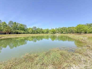 Private 3.73-acre country retreat with endless potential just 5 - photo 33