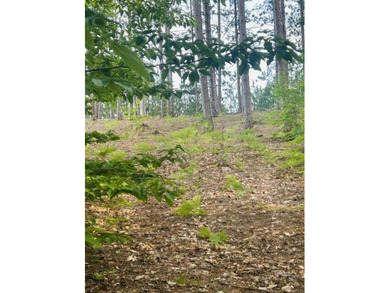 20 Acres-Evart Schools-3 Bedroom one bath remodeled 1900 range - photo 36