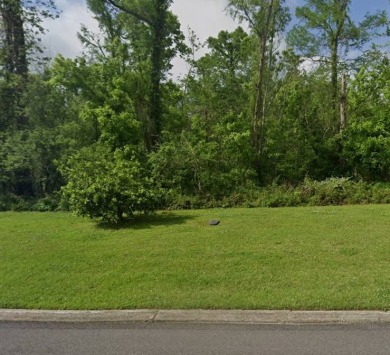 Lake Lot For Sale in Saint Amant, Louisiana