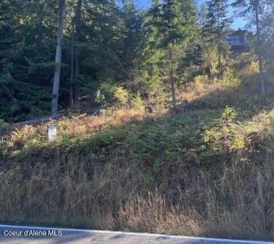 Lake Lot For Sale in Harrison, Idaho