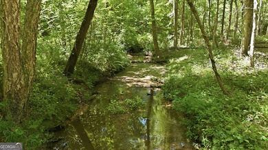 PICTURESQUE NORTHEAST GEORGIA SETTING OF 3 PRIVATE, WOODED ACRES - photo 2