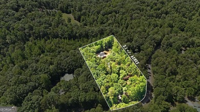 PICTURESQUE NORTHEAST GEORGIA SETTING OF 3 PRIVATE, WOODED ACRES - photo 3
