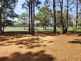 (private lake, pond, creek) Lot For Sale in Donalsonville Georgia