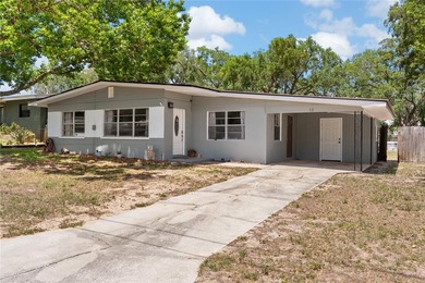 Welcome to 12 Beverly Dr in Frostproof's desirable Reedy Lake - photo 3