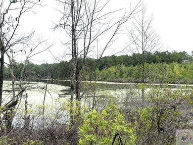 (private lake, pond, creek) Acreage For Sale in Marietta Texas