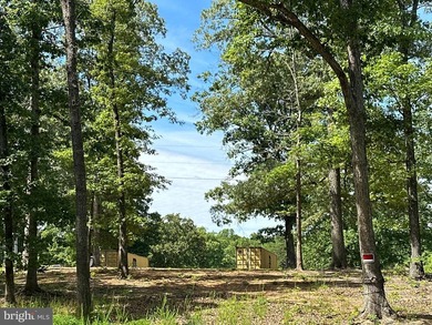 Prime commercial opportunity near Lake Anna! This 1+ acre - photo 3