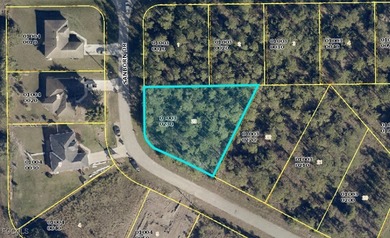 Lehigh Acres Area Lot Sale Pending in Lehigh Acres Florida