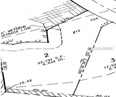 Fantastic wooded lot located in the desirable Berkeley Hall - photo 3