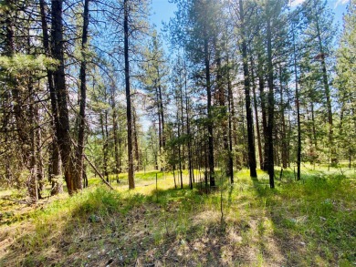 McGregor Lake Acreage For Sale in Marion Montana
