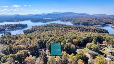 Lake Home For Sale in Morganton, Georgia