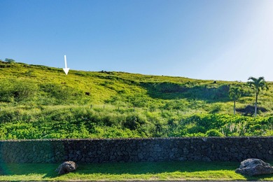 Ready to build your Makena, Maui Dream Home? Papa'anui, across - photo 5