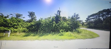 This VACANT RESIDENTIAL LAND, SINGLE FAMILY PLATTED Is available - photo 1