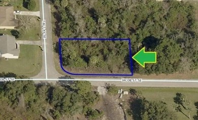 This VACANT RESIDENTIAL LAND, SINGLE FAMILY PLATTED Is available - photo 2