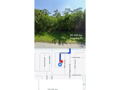 This VACANT RESIDENTIAL LAND, SINGLE FAMILY PLATTED Is available - photo 4