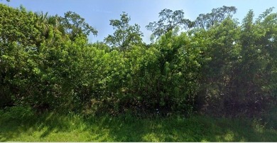 This VACANT RESIDENTIAL LAND, SINGLE FAMILY PLATTED Is available - photo 5