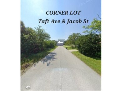 This VACANT RESIDENTIAL LAND, SINGLE FAMILY PLATTED Is available - photo 6