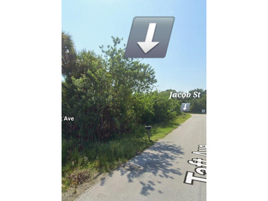 This VACANT RESIDENTIAL LAND, SINGLE FAMILY PLATTED Is available - photo 7