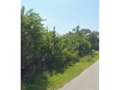 This VACANT RESIDENTIAL LAND, SINGLE FAMILY PLATTED Is available - photo 8