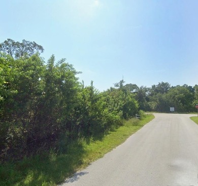 This VACANT RESIDENTIAL LAND, SINGLE FAMILY PLATTED Is available - photo 9