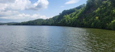 Claytor Lake Lot For Sale in Hiwassee Virginia