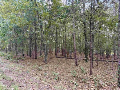 1.31 acre tract. Lots 5 & 6 of Lakeshore Hills II Subdivision - photo 3