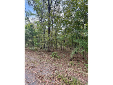1.31 acre tract. Lots 5 & 6 of Lakeshore Hills II Subdivision - photo 5