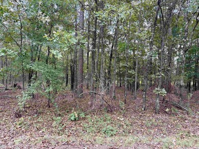 1.31 acre tract. Lots 5 & 6 of Lakeshore Hills II Subdivision - photo 6