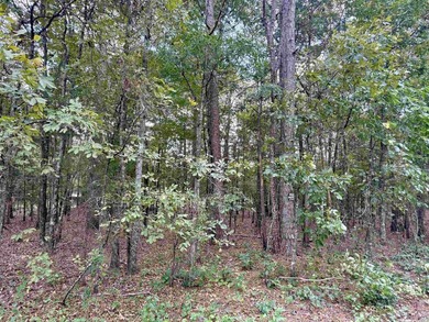 1.31 acre tract. Lots 5 & 6 of Lakeshore Hills II Subdivision - photo 7