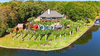 (private lake, pond, creek) Home For Sale in Arlington Texas