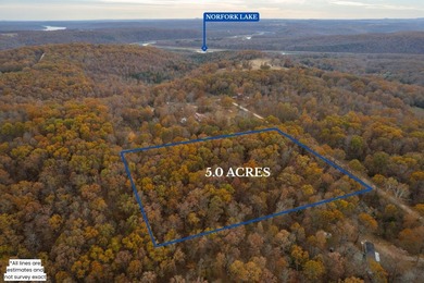 Lake Lot For Sale in Tecumseh, Missouri