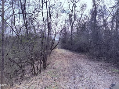 French Broad River Acreage For Sale in Newport Tennessee